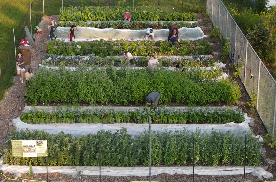 Un modèle inspirant de jardin collectif signé Croque Paysage