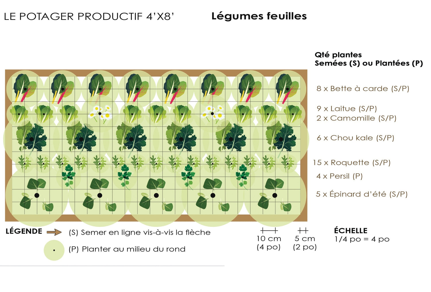 La planification végétale au potager