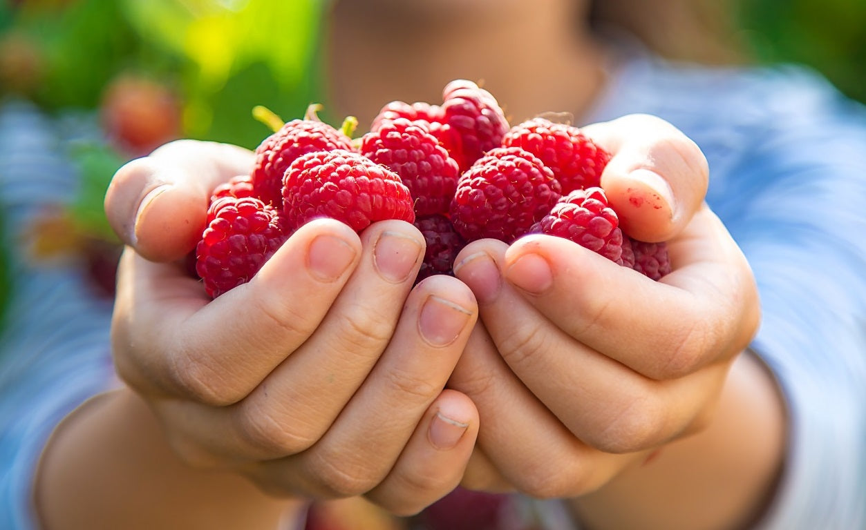 Télétravail et autonomie alimentaire