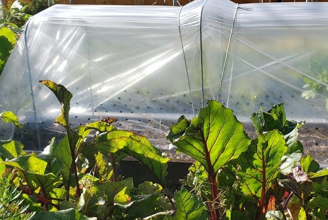 3m*6m Couverture de protection des plantes et des légumes contre