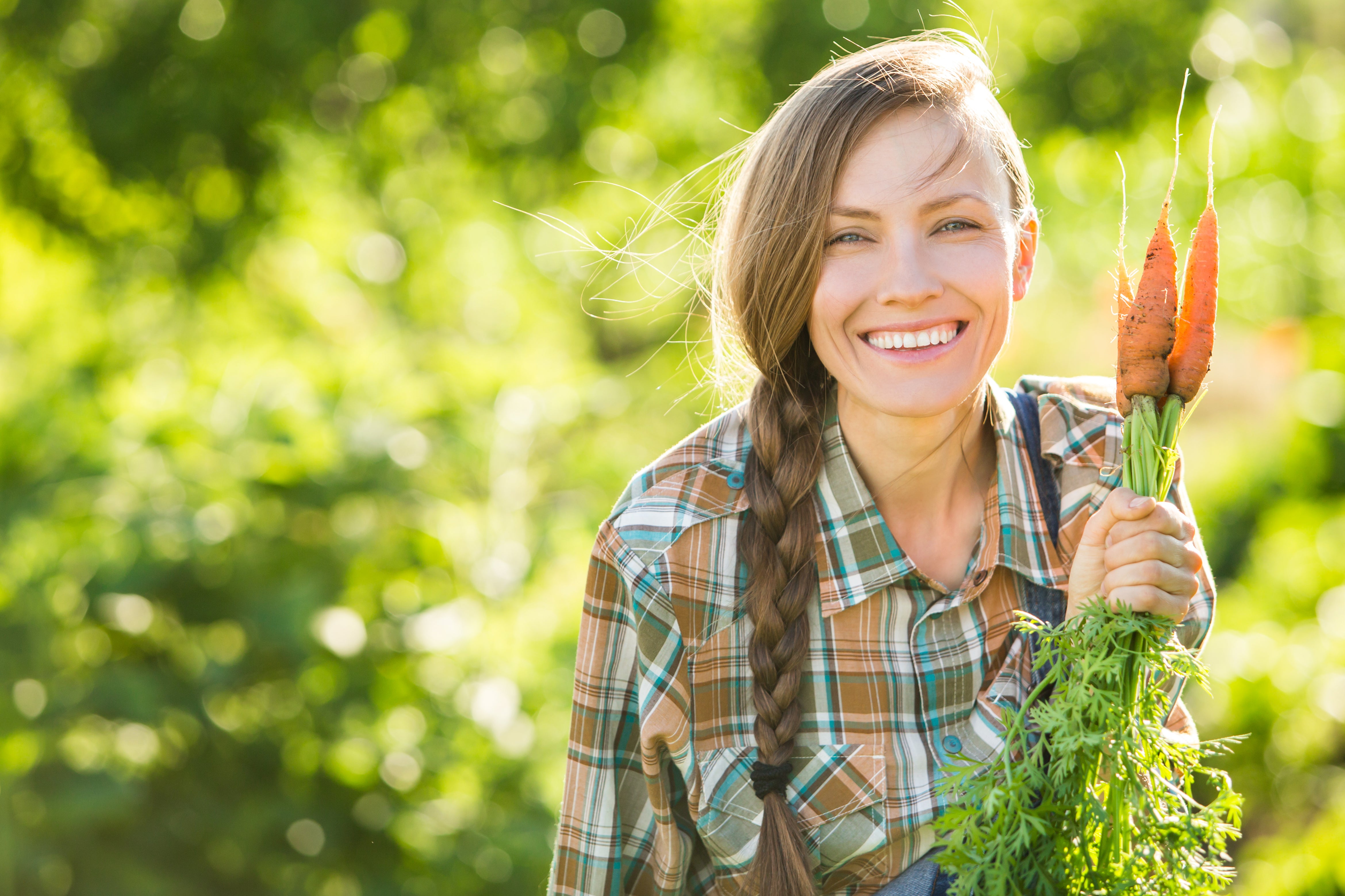 Quelles plantes cultiver au potager?