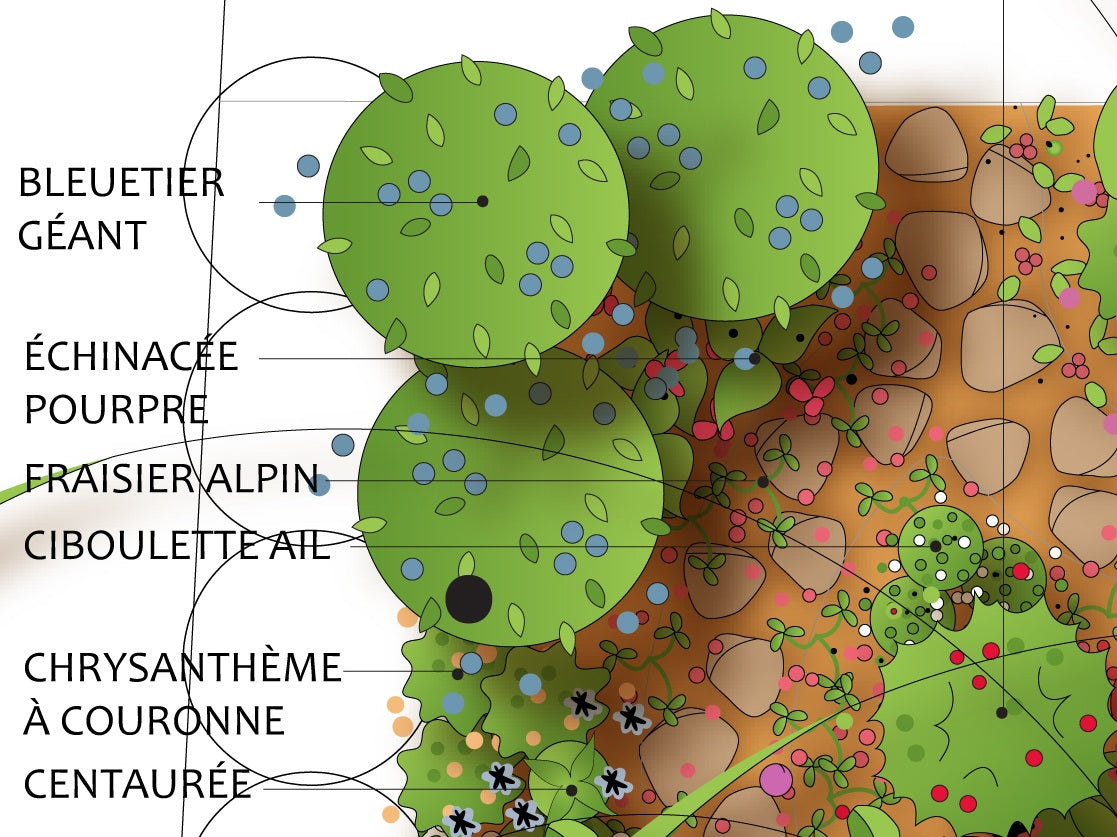 Croque paysage offre le service de conception d'aménagement paysager comestible.