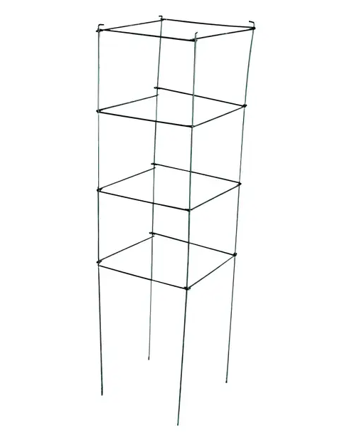Treillis multi-fonctions / cage à tomates carrée