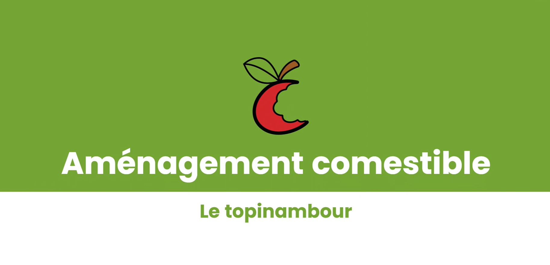 Topinambour - Plant Bio - Croque Paysage