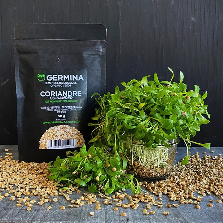 Semences de Coriandre bio 120g - Sachet Germina