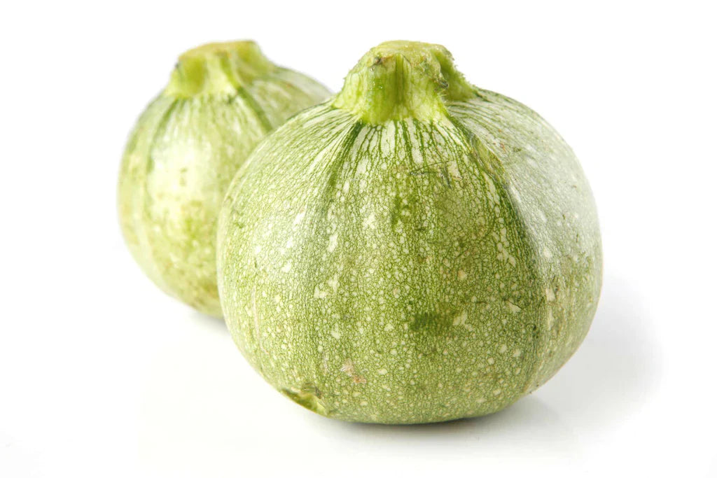 Courge d'été Ronde de Nice - Sachet Bio - Semences du Portage
