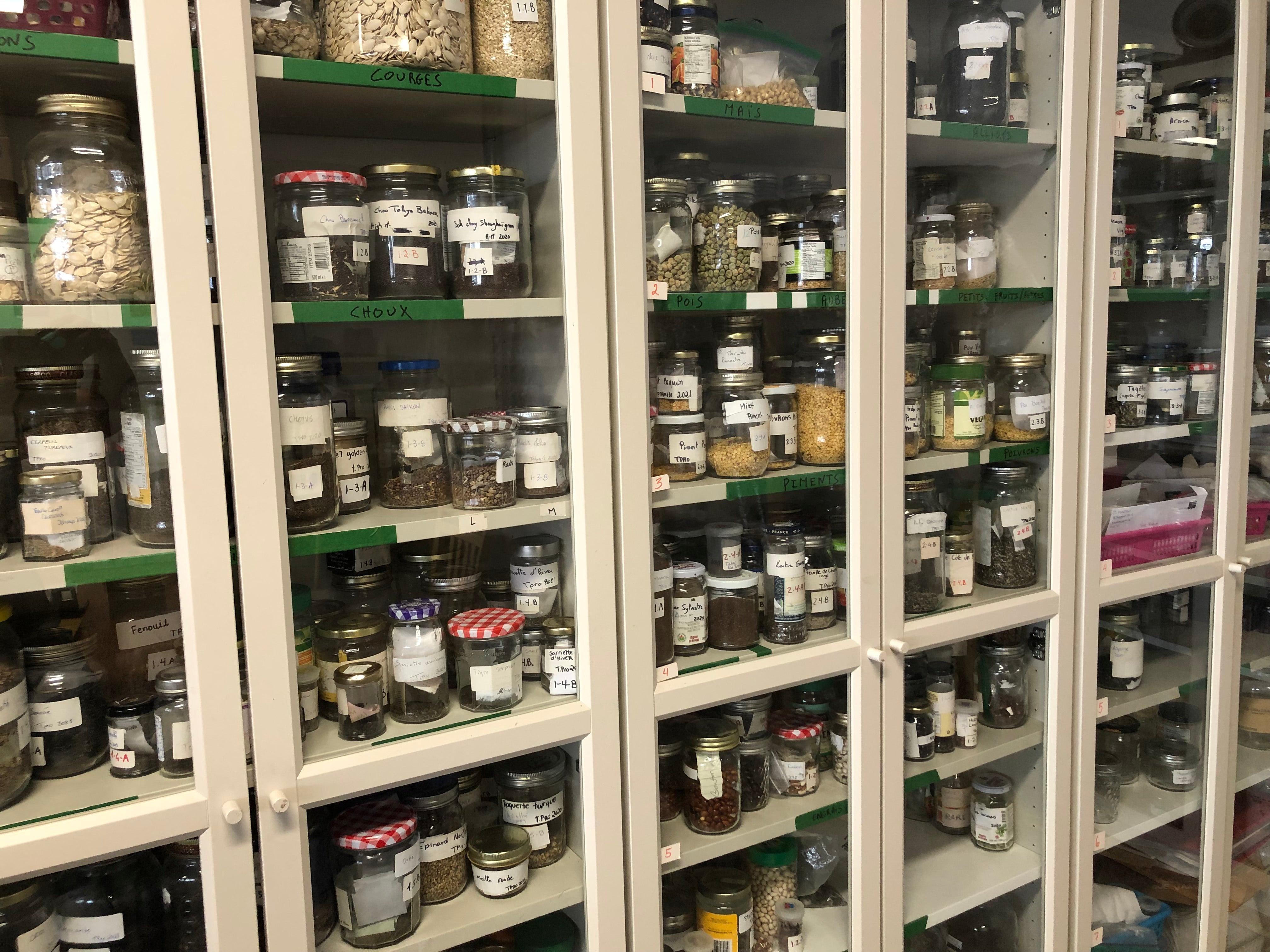 Atelier-conférence : La conservation des semences