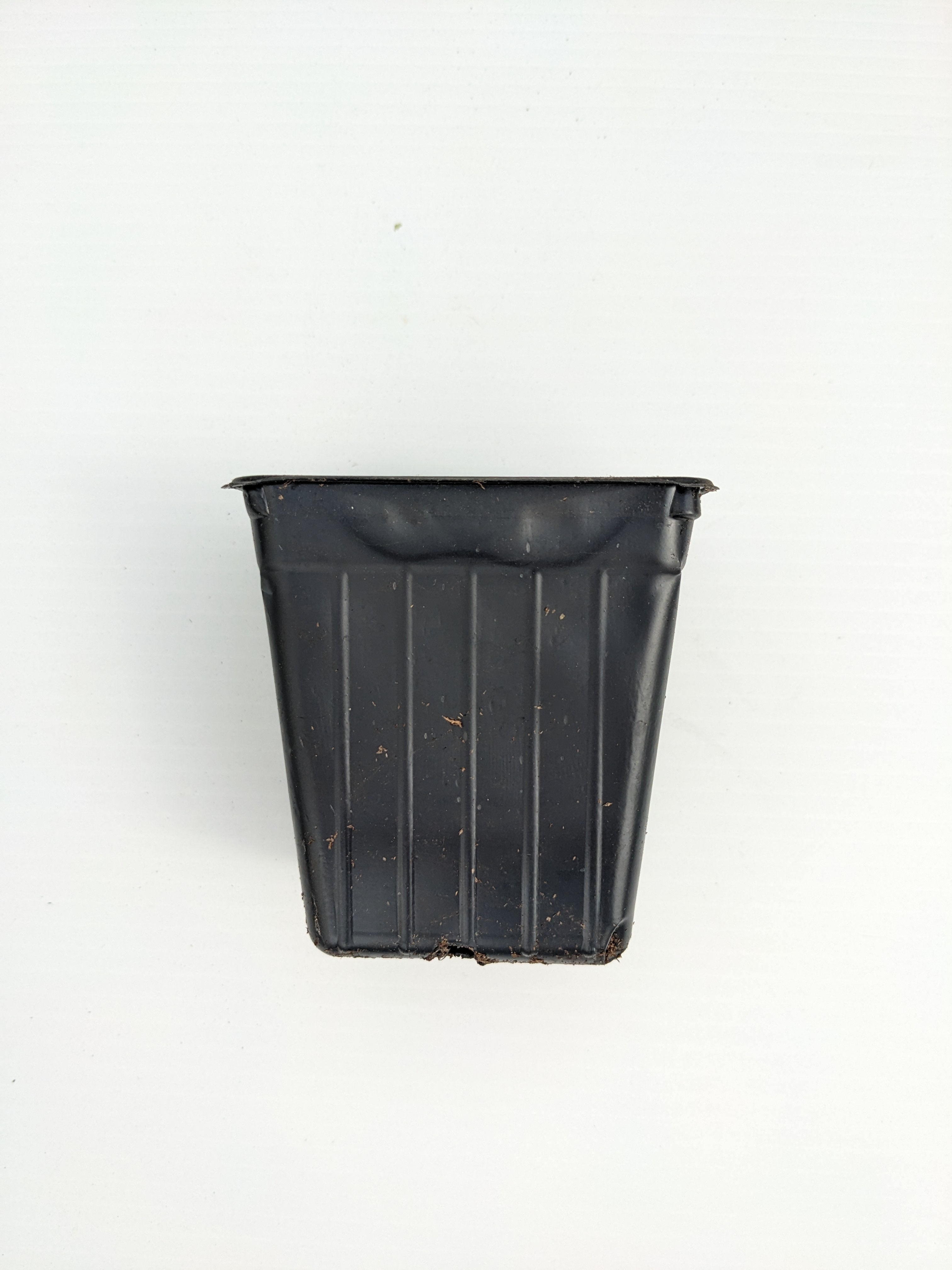 Lot de 25 pots de production noirs