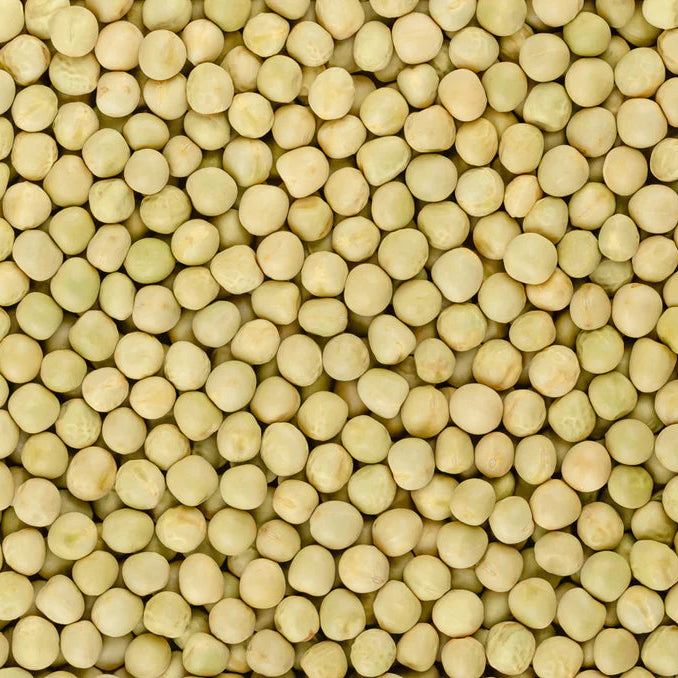 Pois jaune à soupe grimpant Saint-Hubert - Sachet Bio - Semences du Portage