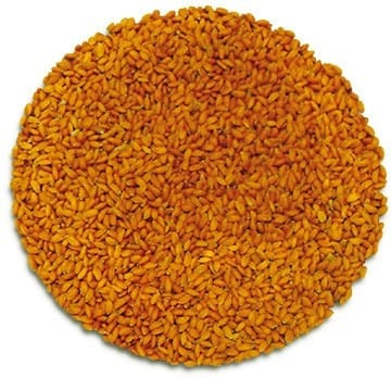 Semences de Cresson bio 200g - Sachet Germina
