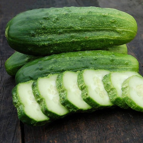 Croque Paysage,semences Concombre cornichon National Pickling biologiques,légume fruit annuel pour potager,semenciers québécois,laurentides,val-david