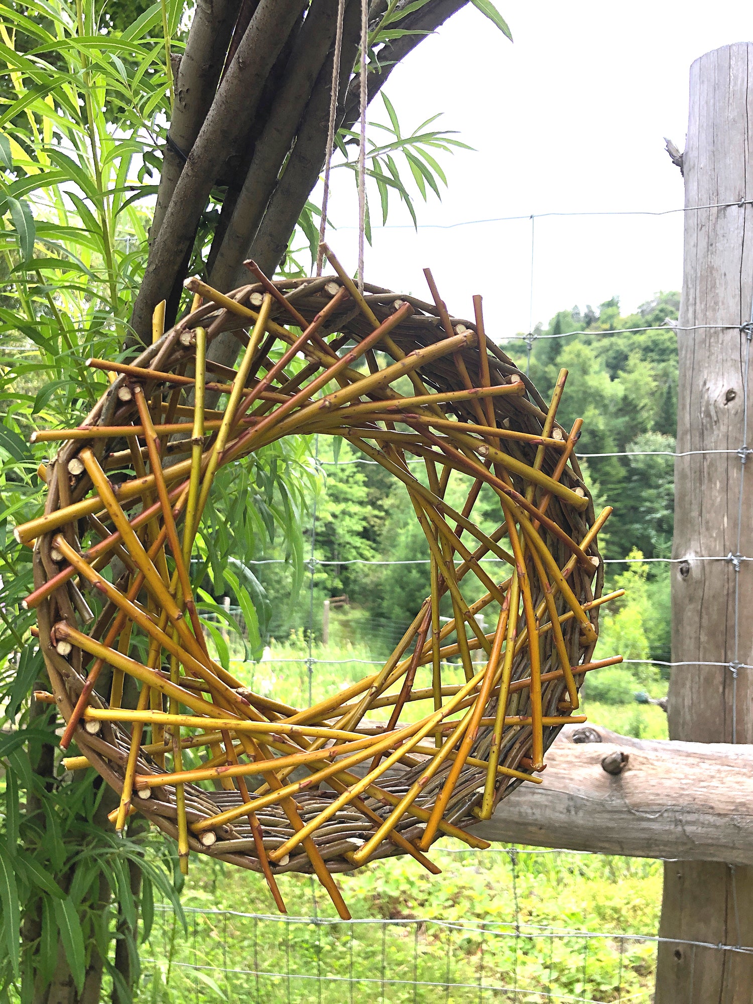 Atelier : Confection d'un carrousel végétal