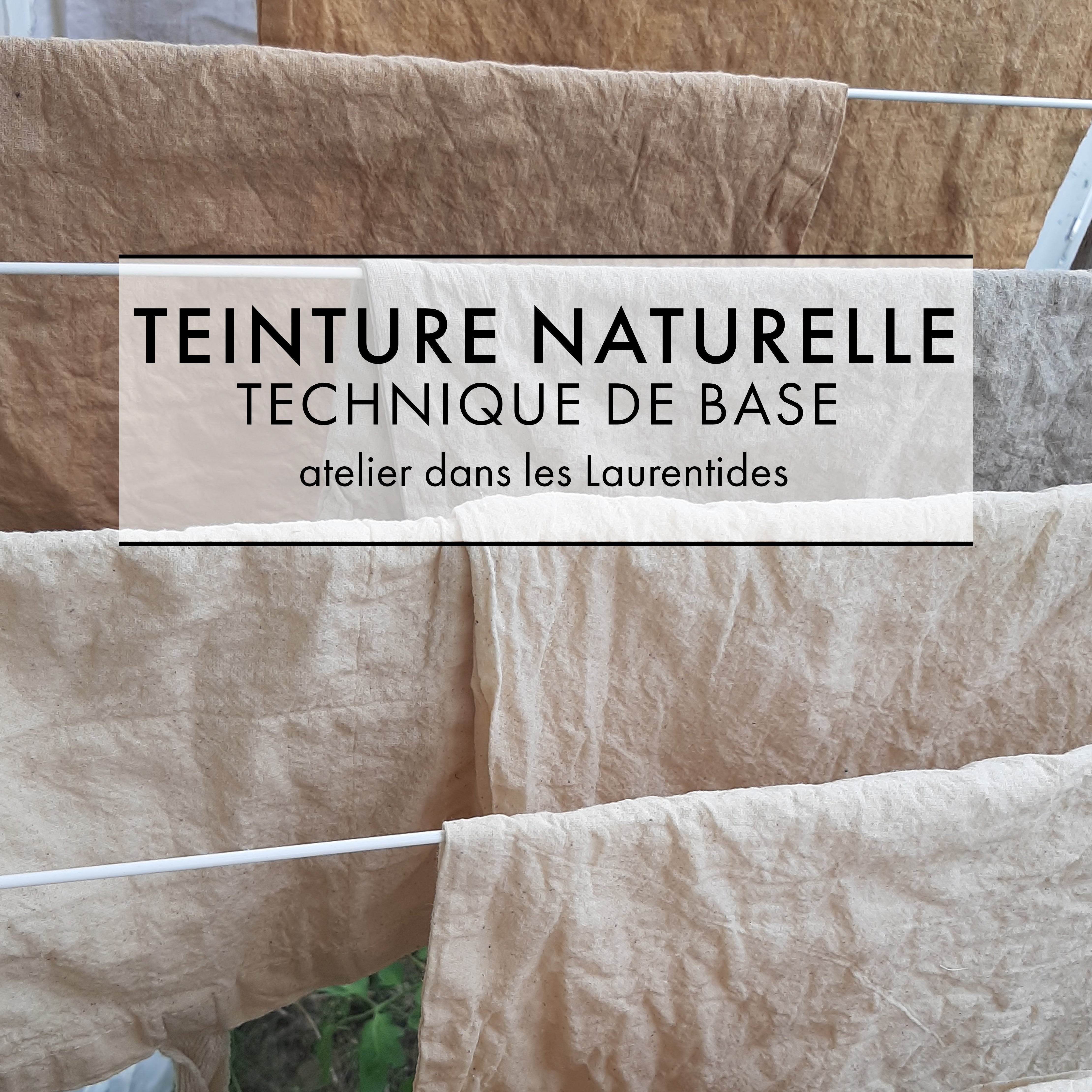 Atelier d’introduction à la teinture végétale