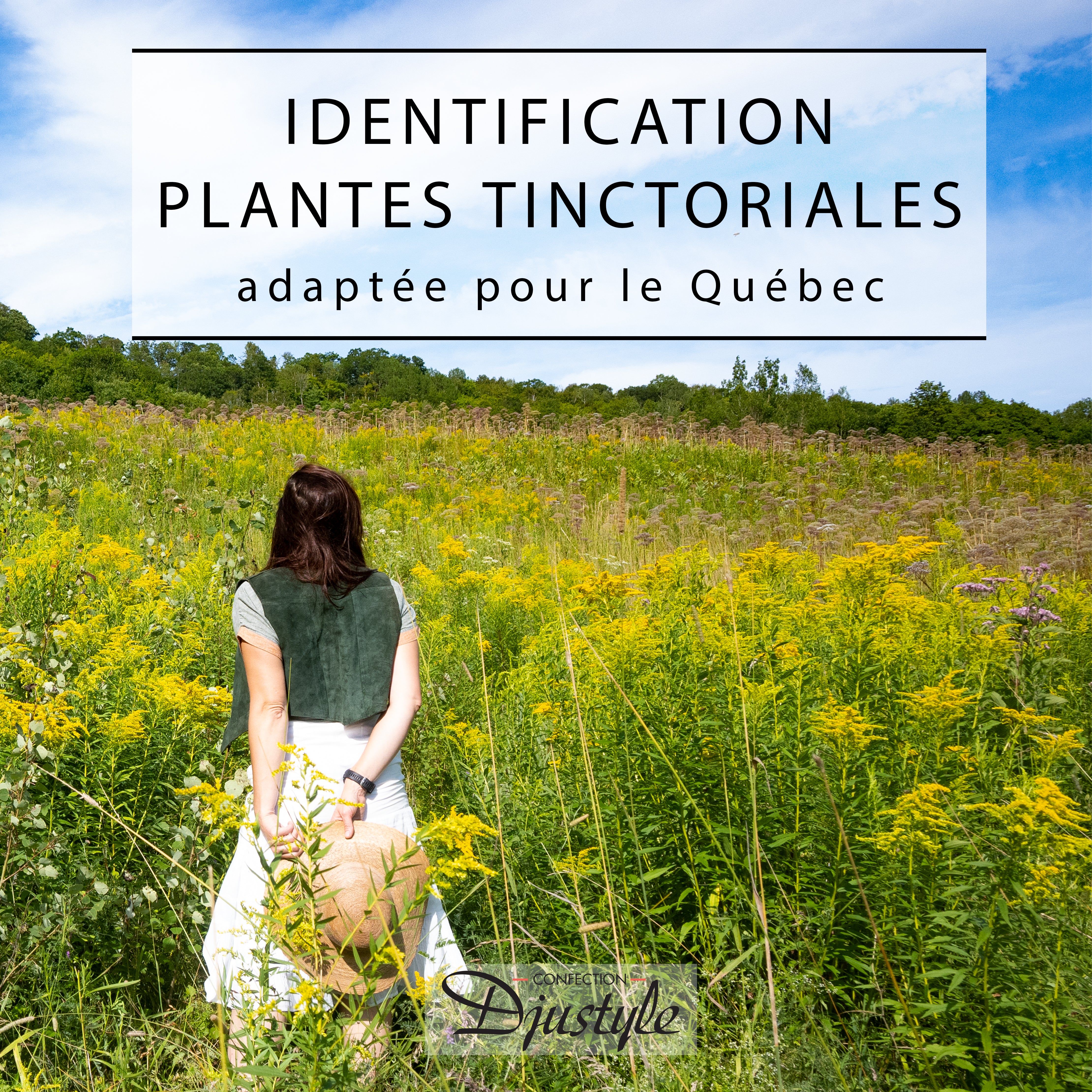 Atelier d’identification des plantes tinctoriales