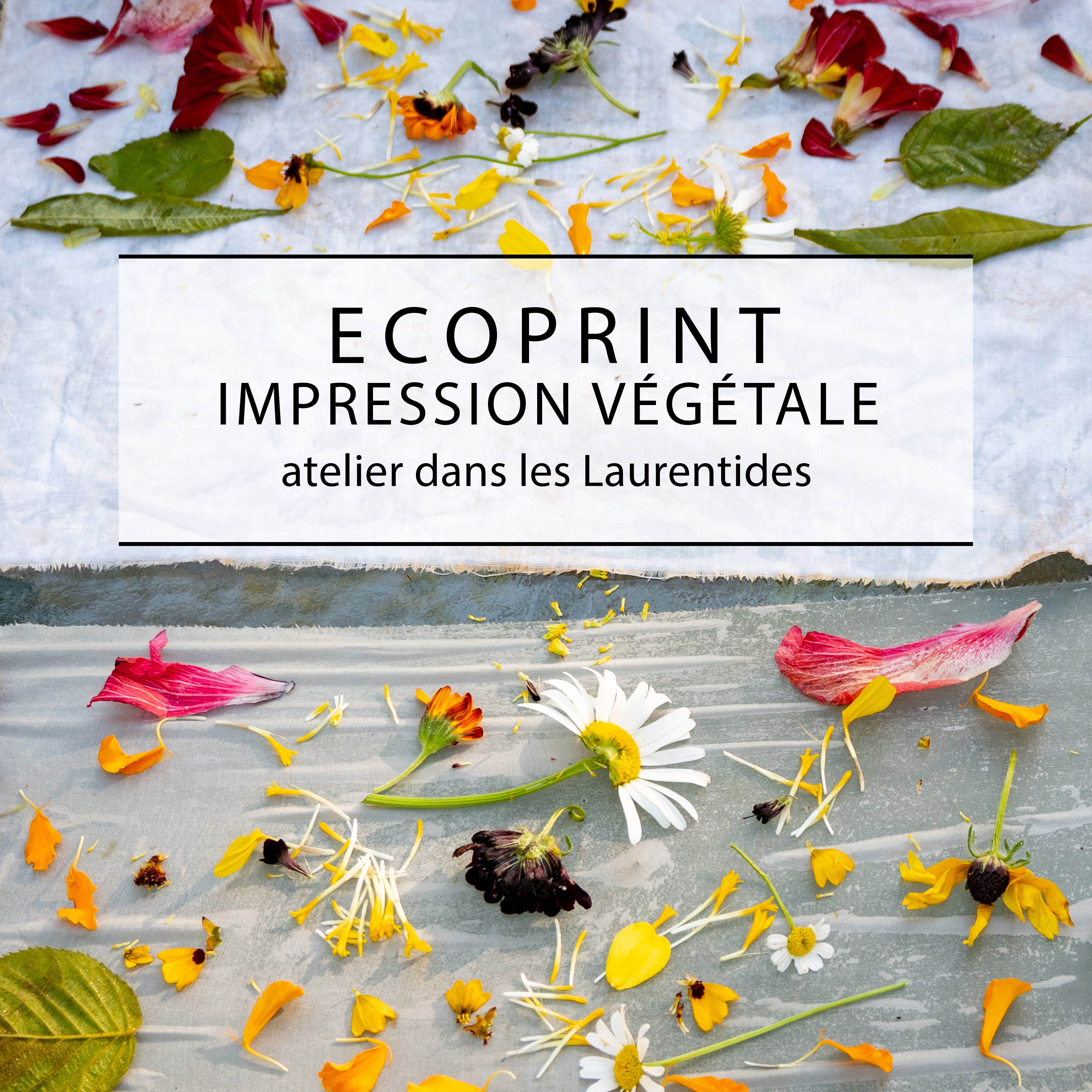 Atelier d’écoprint: impression végétale