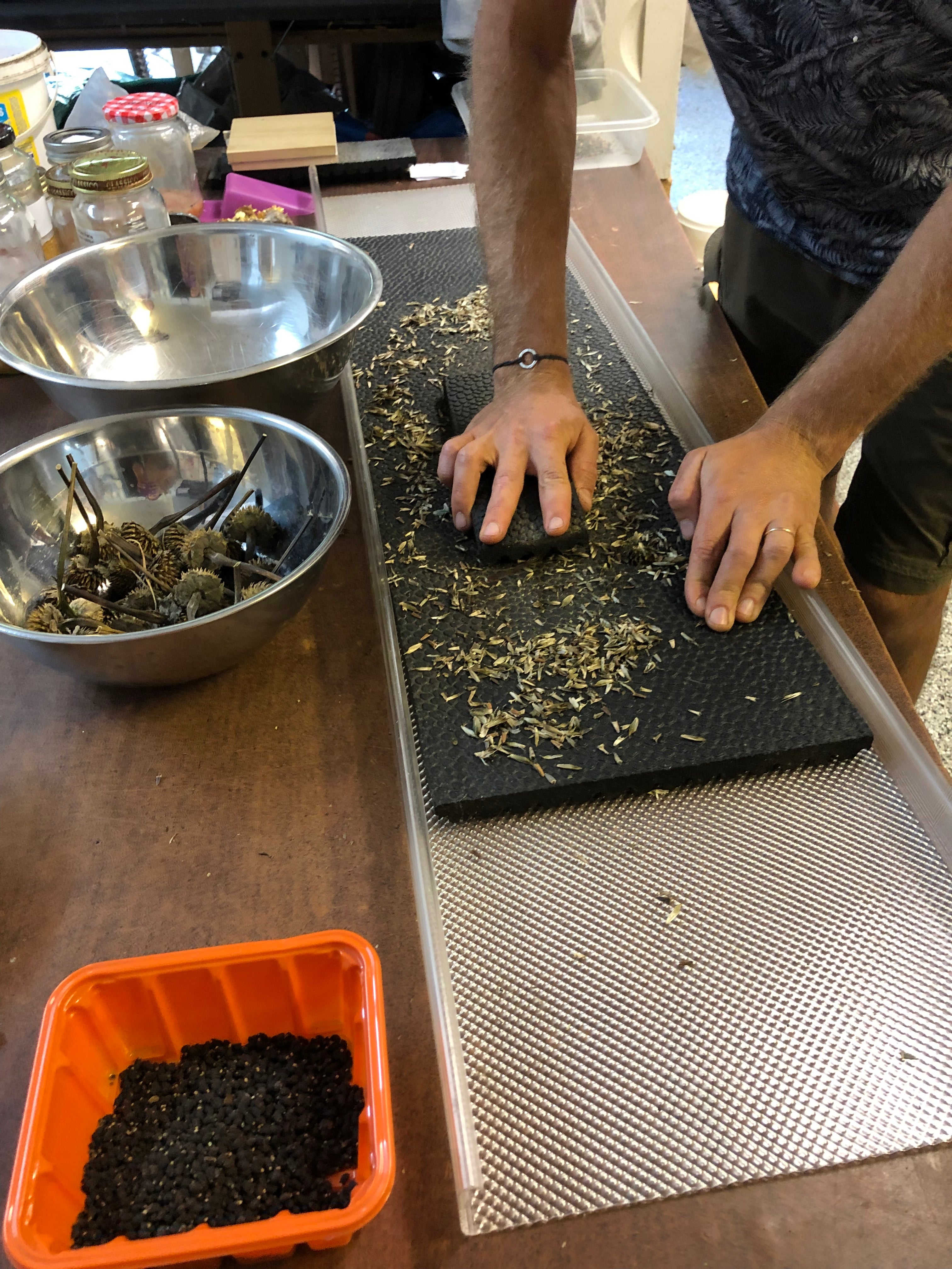 Atelier-conférence : La conservation des semences