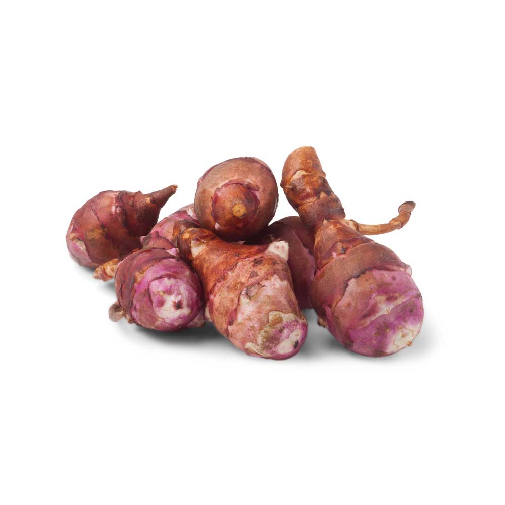 Topinambour rouge - Plant Bio - Croque Paysage