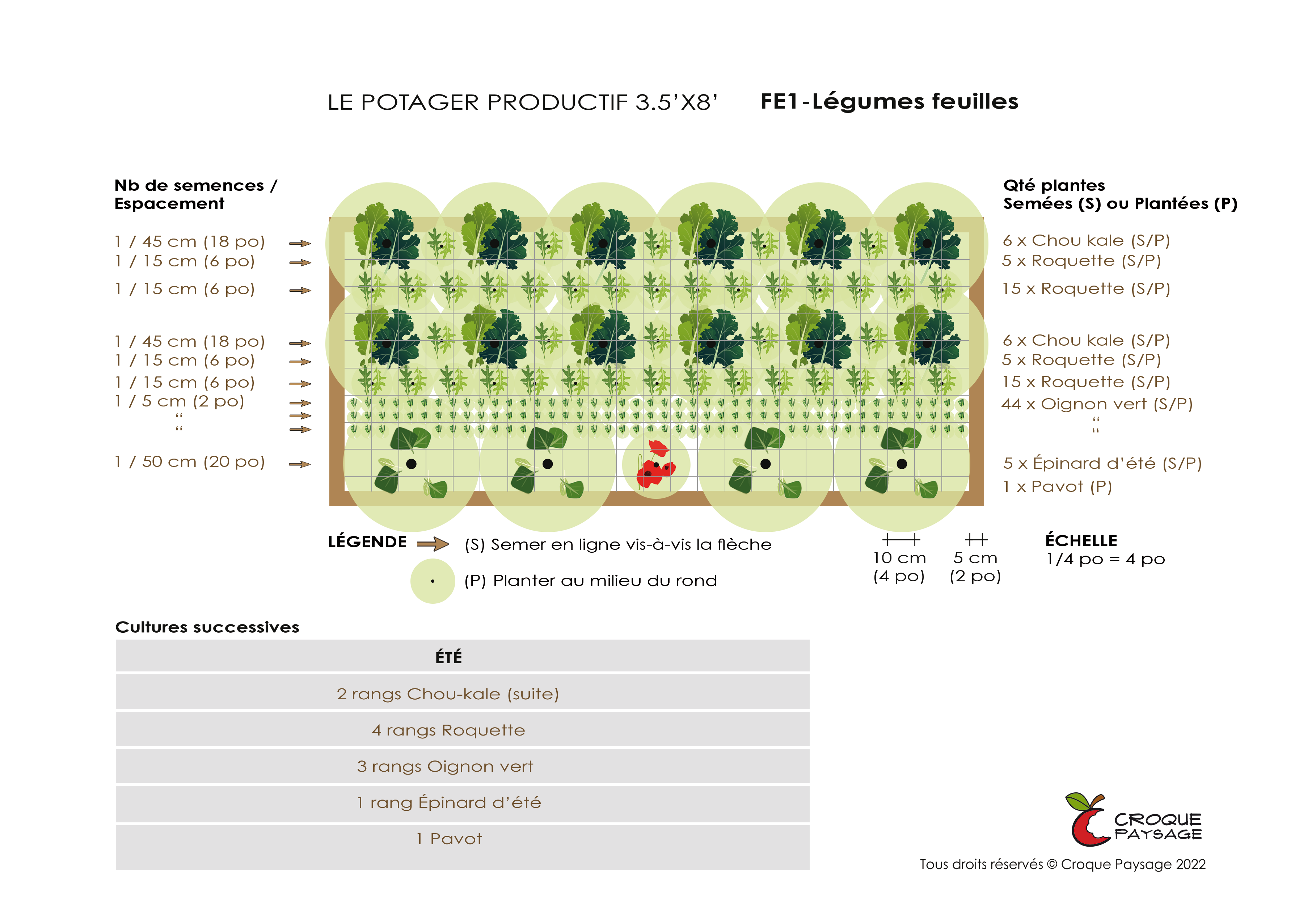 Exemple : Organisation végétale d'un potager productif