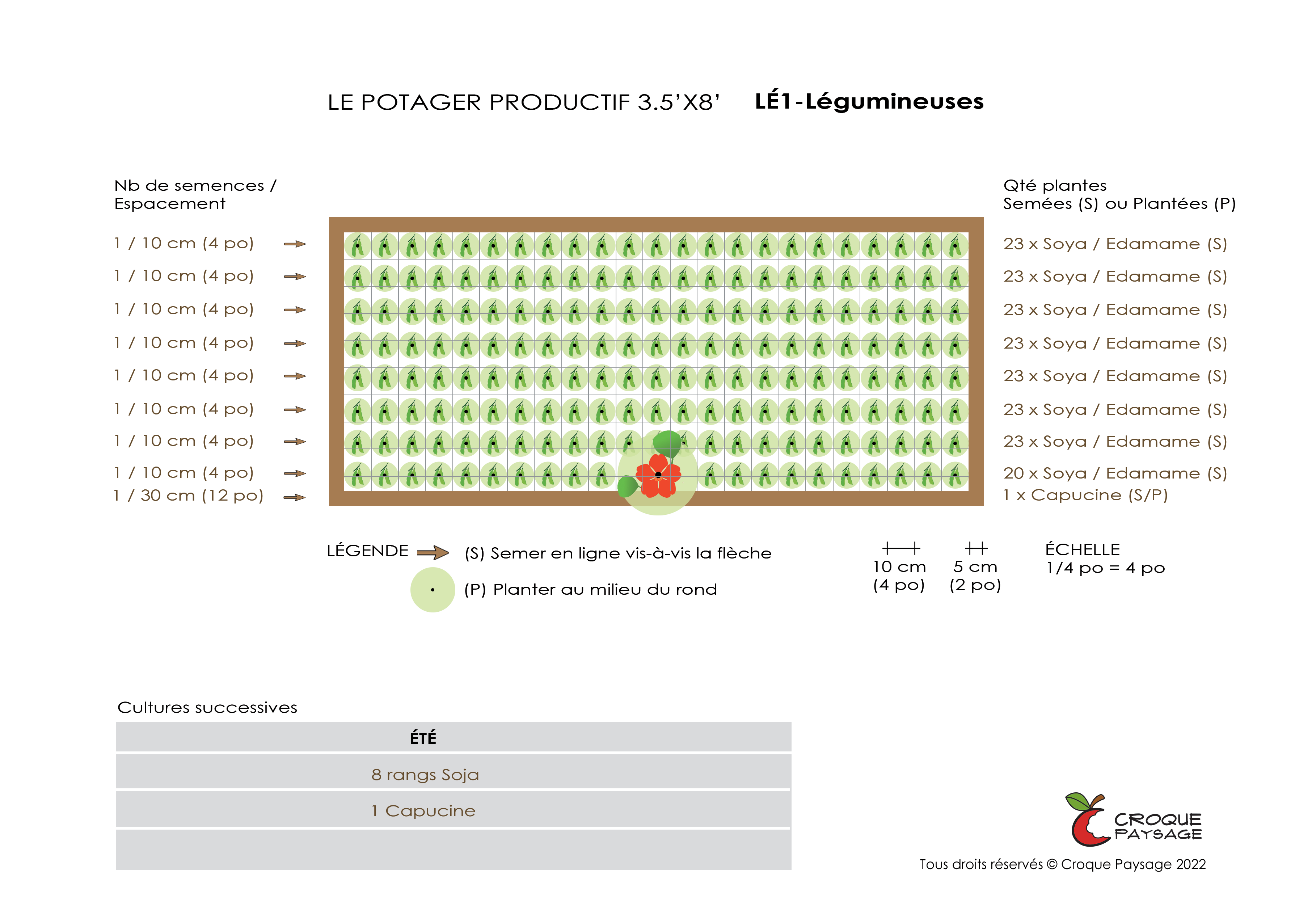 Exemple : Organisation végétale d'un potager productif