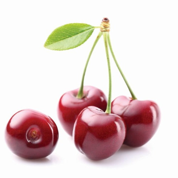 Croque Paysage,Cerisier Meteor en pot,arbre à fruits,pépinière plantes comestibles Québec,Laurentides,Val-David