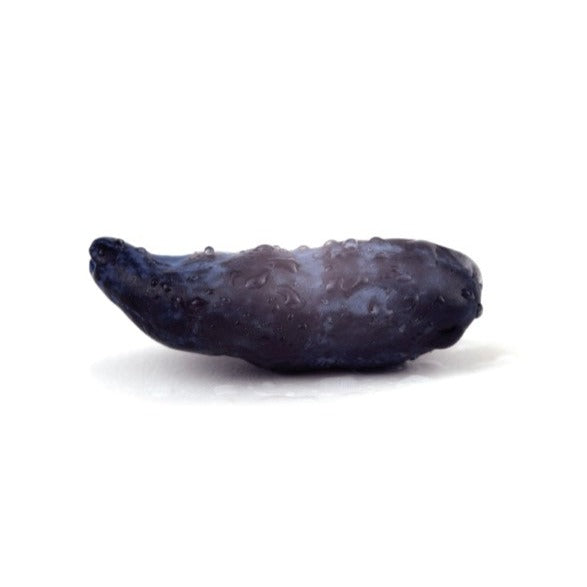 Camerisier Berry blue