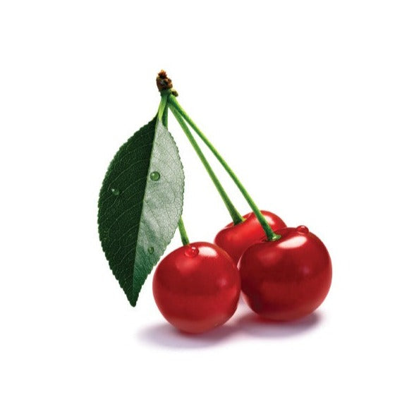 Cerisier nain Sk Carmine Jewel