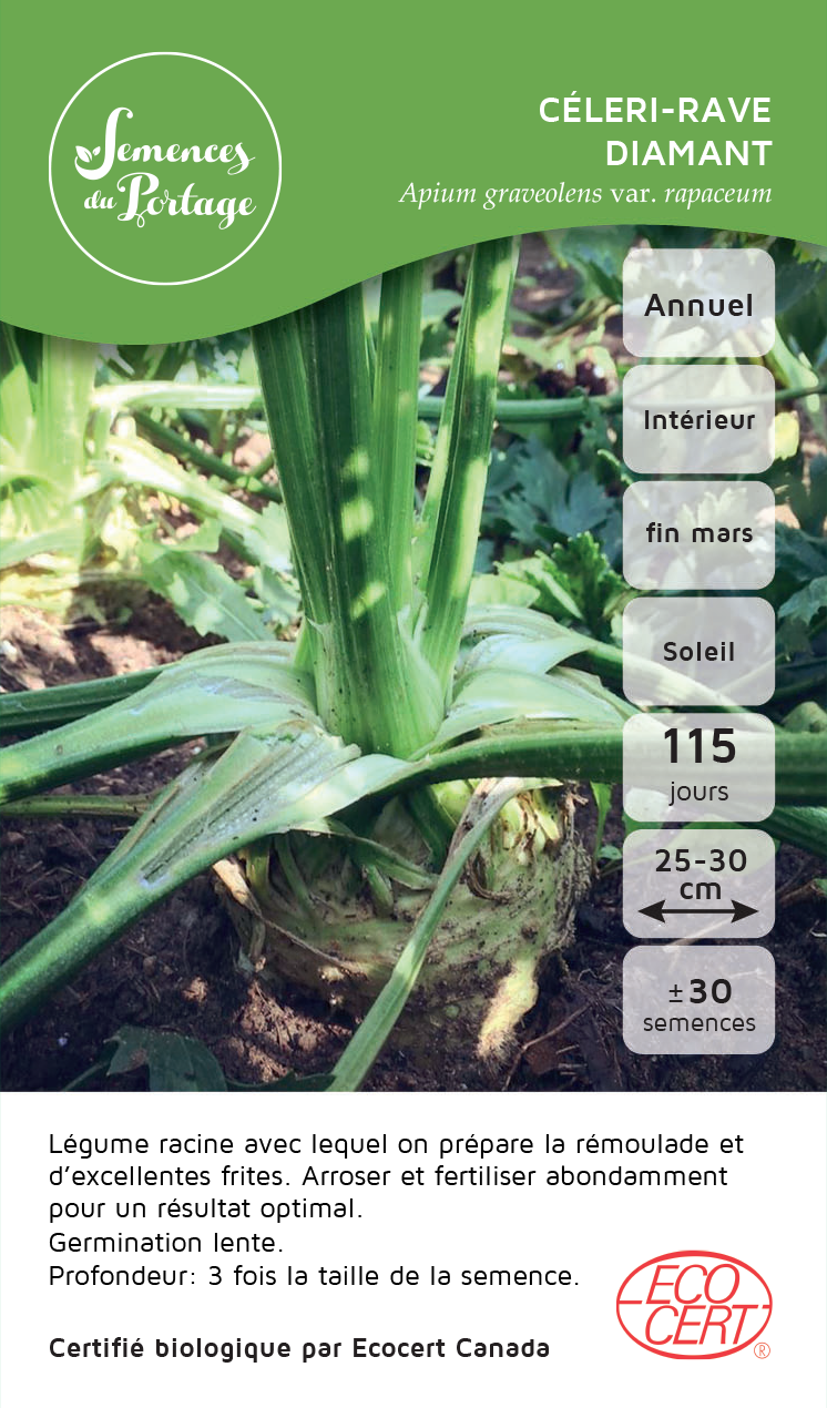 Celeri rave Diamant - Sachet Bio - Semences du Portage