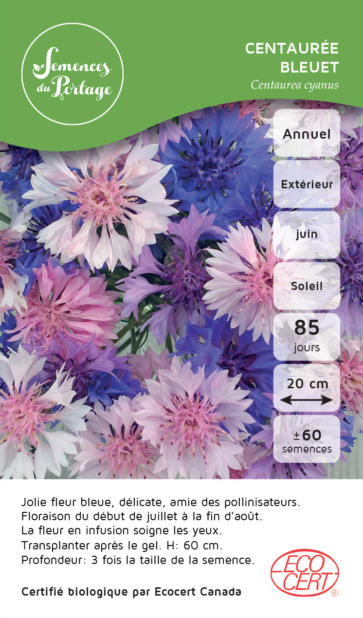 Centaurée bleuet - Sachet Bio - Semences du Portage