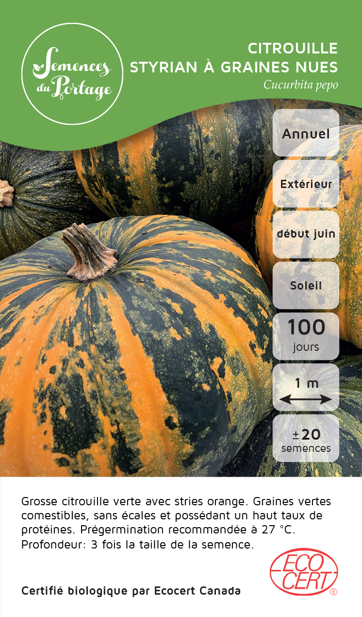 Citrouille Styrian - Sachet Bio - Semences du Portage