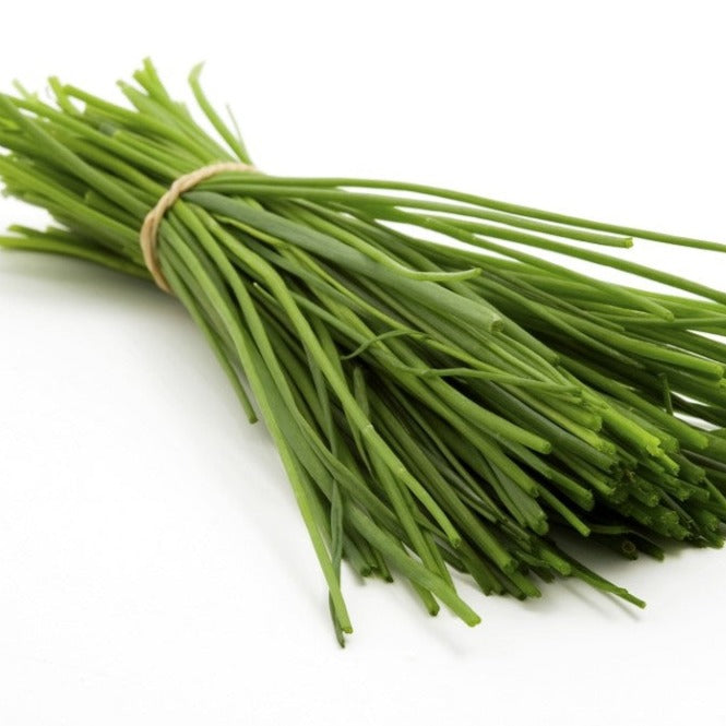 Ciboulette - Plant Bio - Croque Paysage