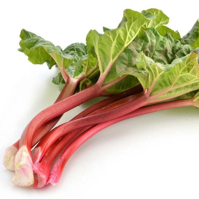 Croque Paysage,Rhubarbe,herbacée vivace comestible,pépinière plantes comestibles bio Québec,Laurentides,Val-David