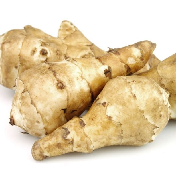 Croque Paysage,Topinambour,herbacée vivace comestible,pépinière plantes comestibles bio Québec,Laurentides,Val-David