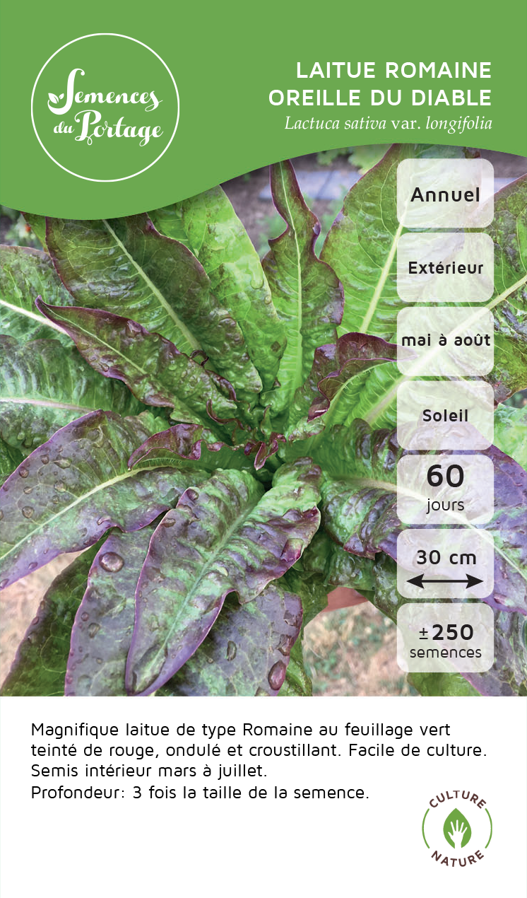 Laitue romaine Oreille du Diable - Sachet Bio - Semences du Portage