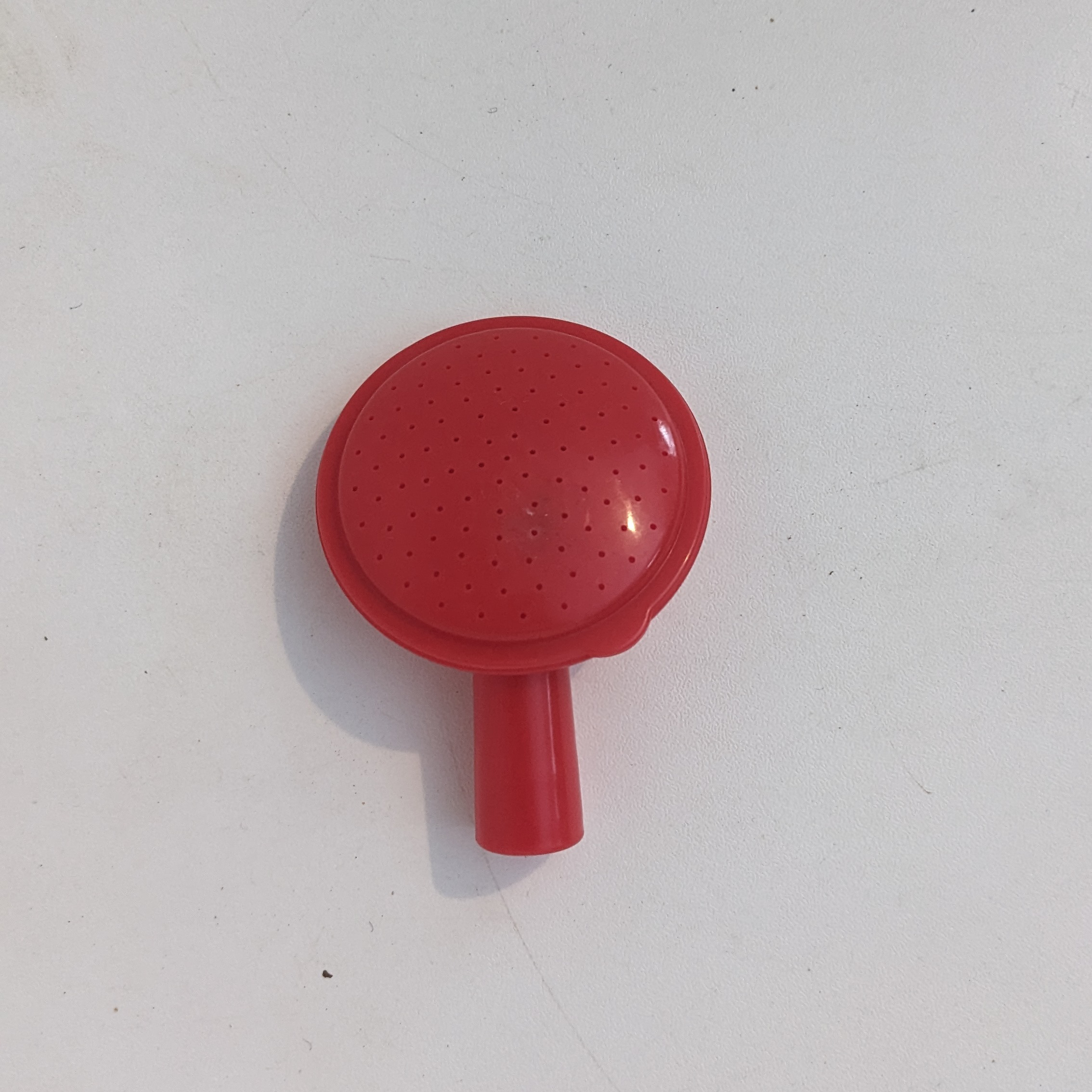 Pommeau pour arrosoir Dramm