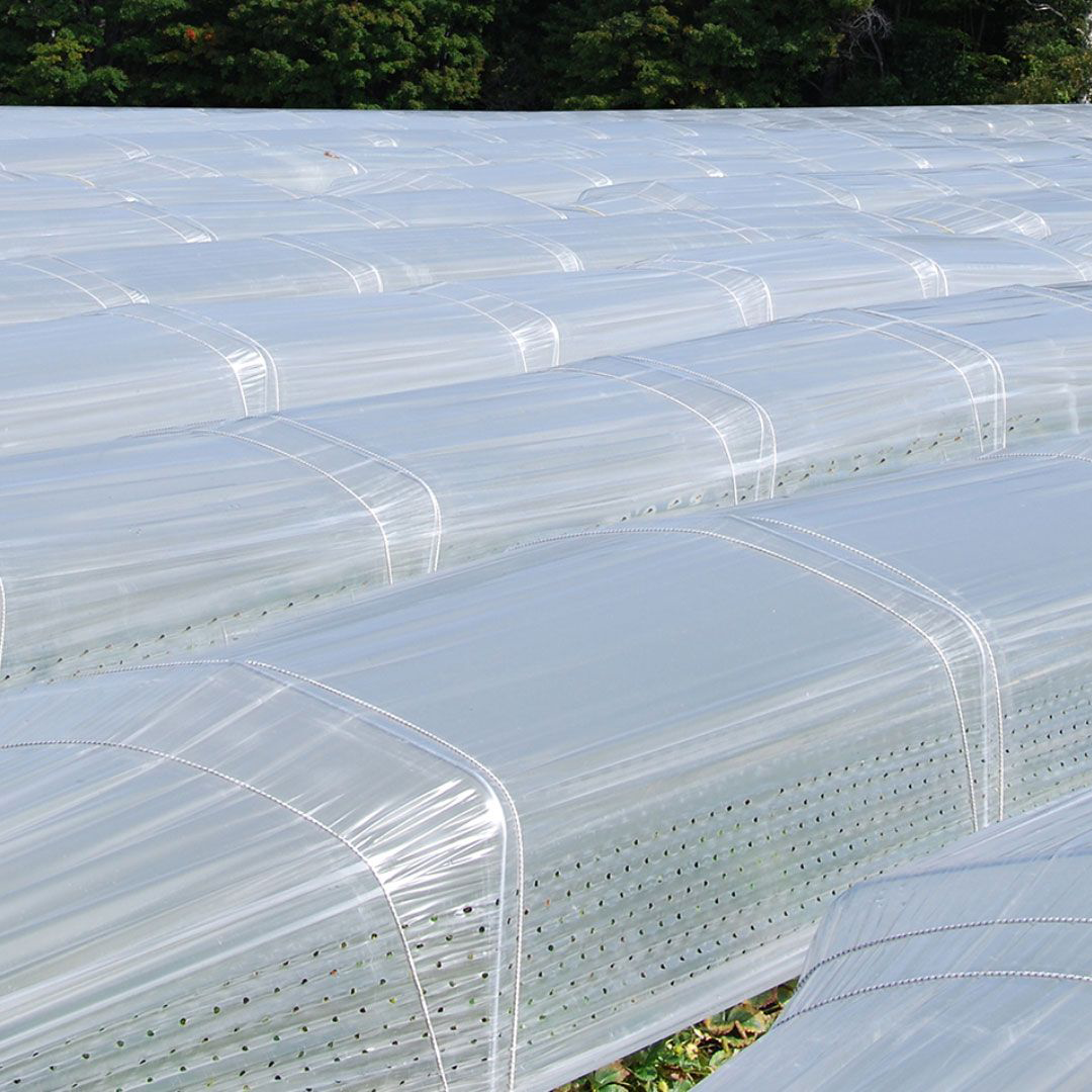 Croque Paysage,matériel aménagement comestible,Toile plastique perforée 3 saisons,jardinerie autonomie alimentaire,Québec,Laurentides,Val-David