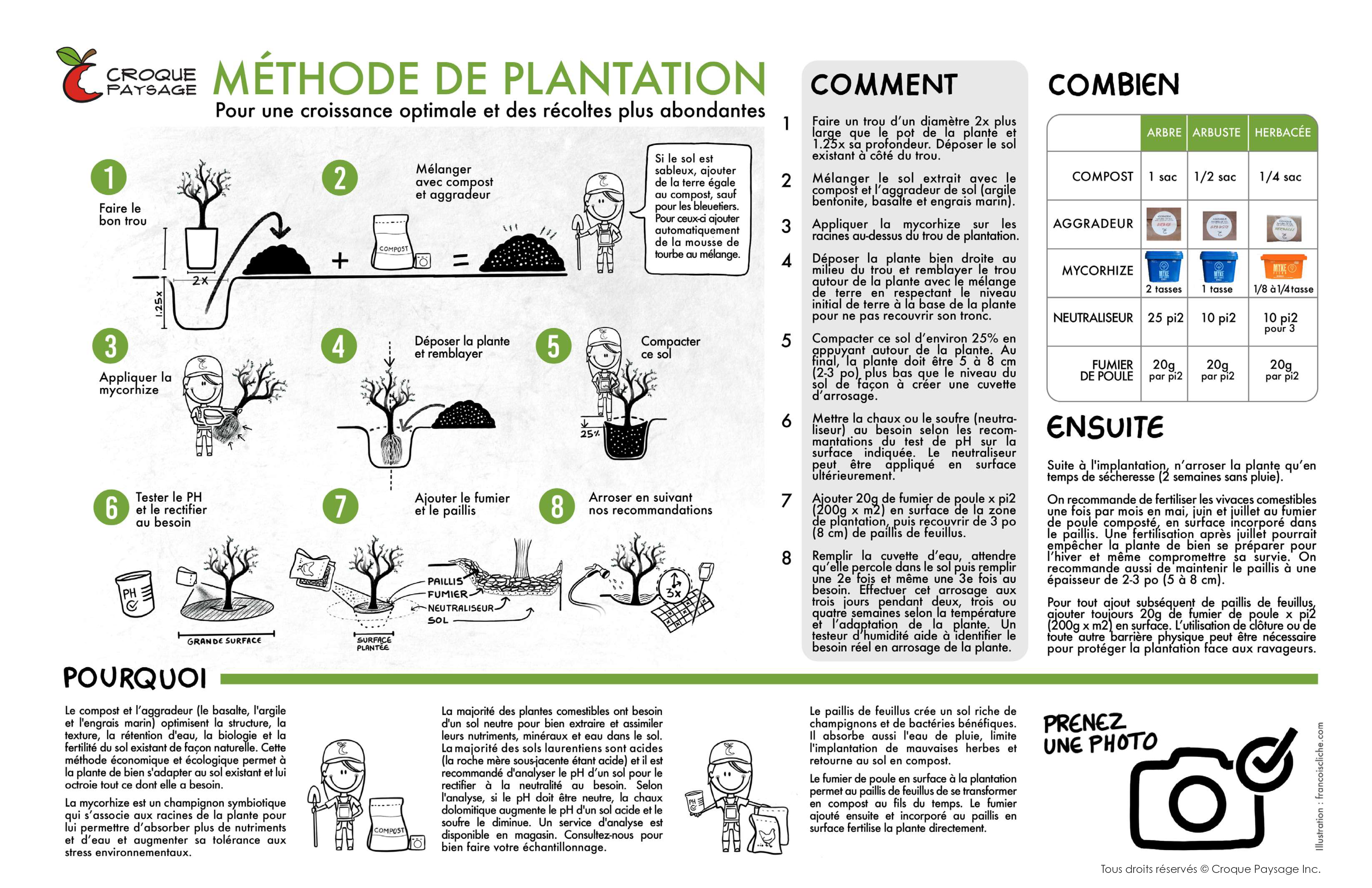 Méthode de plantation