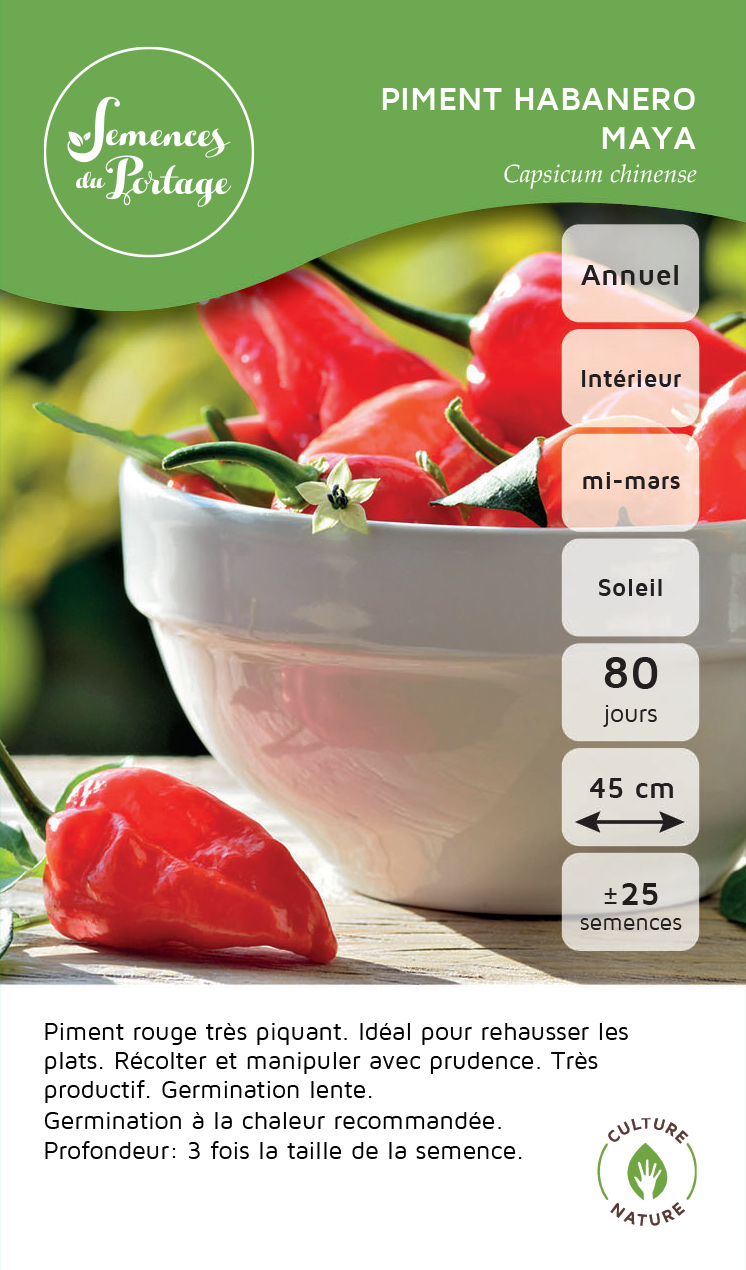 Piment Habanero Maya - Sachet Bio - Semences du Portage
