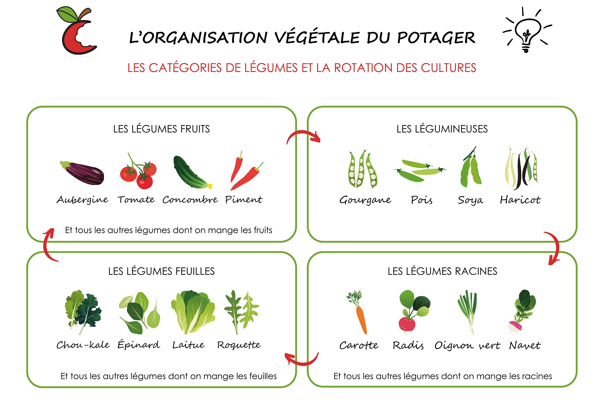 Les 4 catégories de légumes et la rotation des cultures