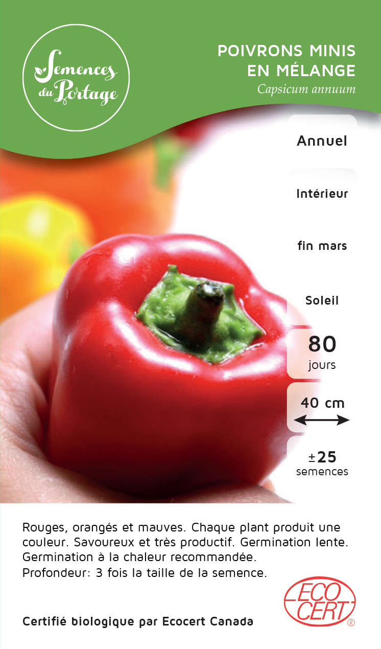 Poivrons miniatures en mélange - Sachet Bio - Les Jardins de l'écoumène