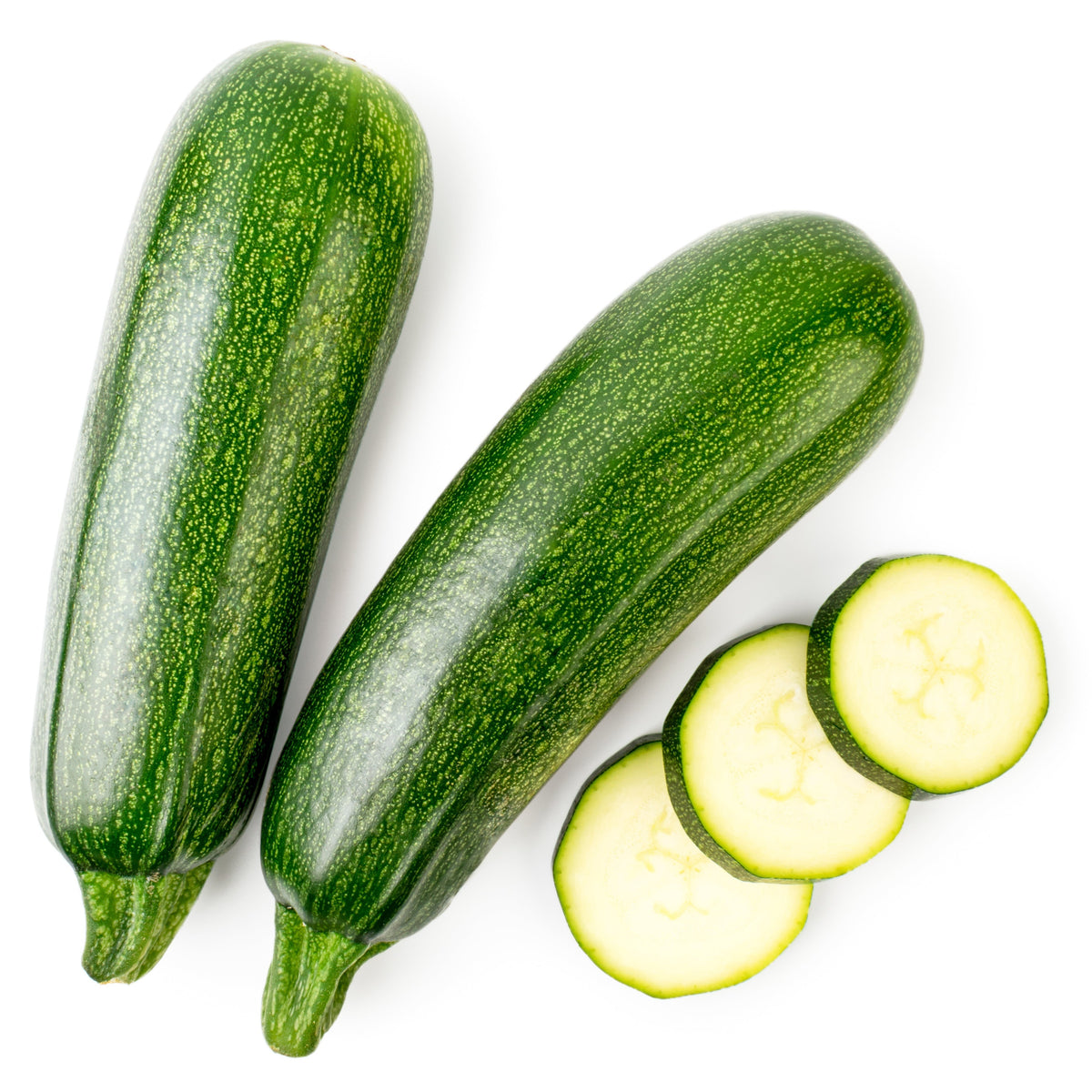Croque Paysage,semences Courgette d'été Dark Green biologiques,légume fruit annuel pour potager,semenciers québécois,laurentides,val-david