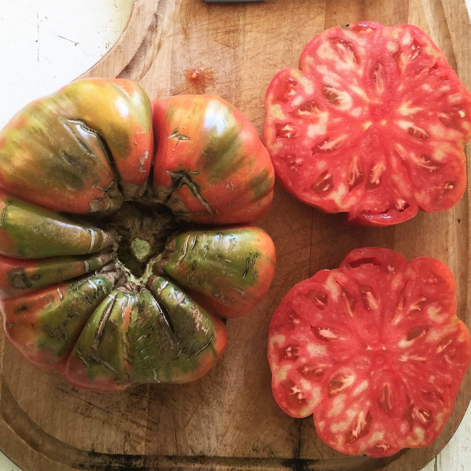 Croque Paysage,semences Tomate Adelin Morin biologiques,légume fruit annuel pour potager,semenciers québécois,laurentides,val-david