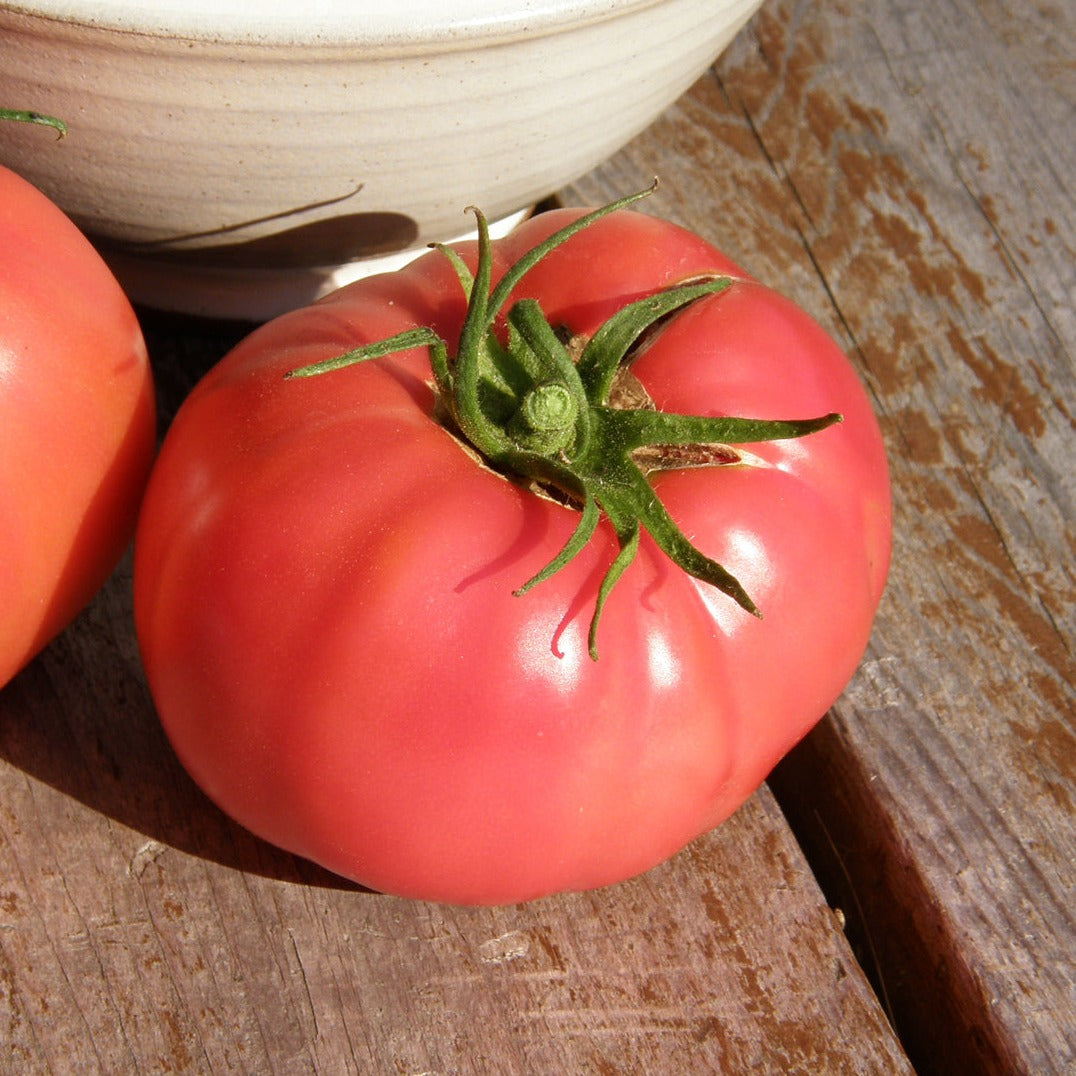 Croque Paysage,semences Tomate Savignac biologiques,légume fruit annuel pour potager,semenciers québécois,laurentides,val-david