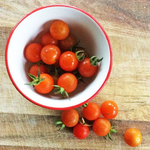 Croque Paysage,semences Tomate cerise Petit Moineau biologiques,légume fruit annuel pour potager,semenciers québécois,laurentides,val-david