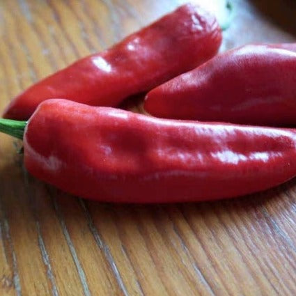 Croque Paysage,semences Piment Dispelette biologiques,légume fruit annuel pour potager,semenciers québécois,laurentides,val-david