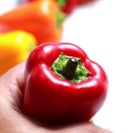 Croque Paysage,semences Poivrons minis en mélange biologiques,légume fruit annuel pour potager,semenciers québécois,laurentides,val-david
