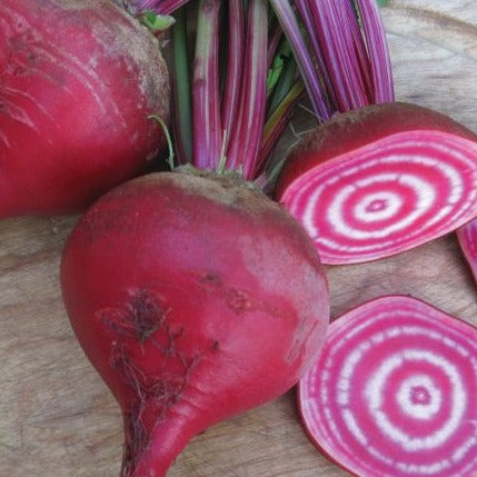 Croque Paysage,semences Betterave Chioggia biologiques,légume racine annuel pour potager,semenciers québécois,laurentides,val-david