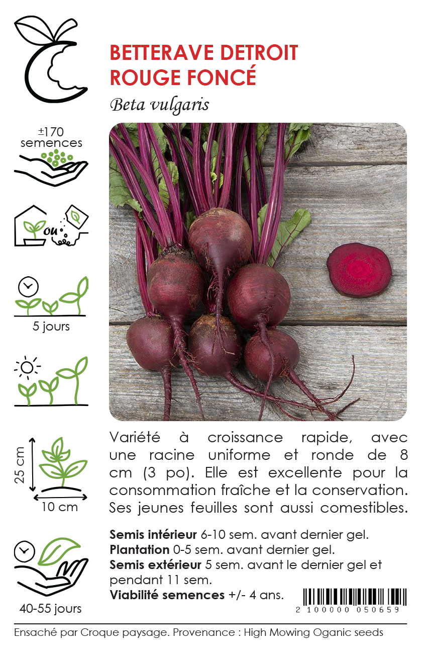Sachet Croque Paysage, semences Betterave Detroit rouge foncé biologiques,légume racine annuel pour potager,semenciers québécois,laurentides,val-david