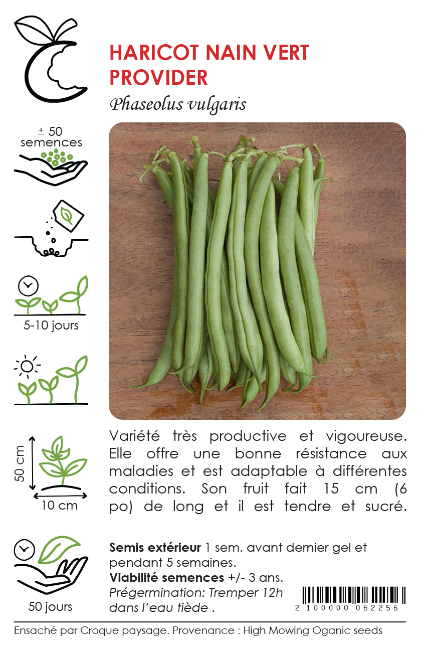 Sachet Croque Paysage,semences Haricot nain vert Provider biologiques,légumineuse annuelle pour potager,semenciers québécois,laurentides,val-david