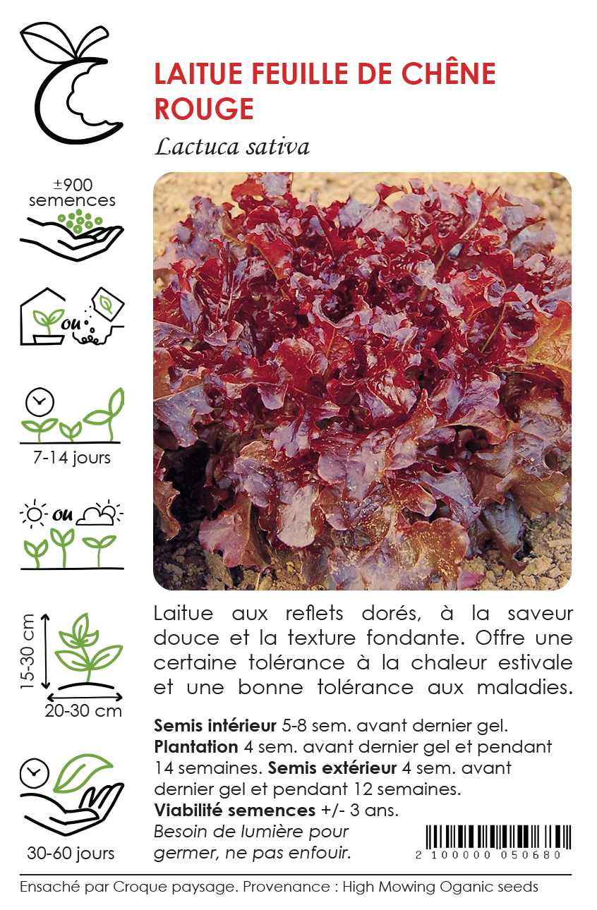 Sachet Croque Paysage,semences Laitue feuille de chêne rouge biologiques,légume feuille annuel pour potager,semenciers québécois,laurentides,val-david