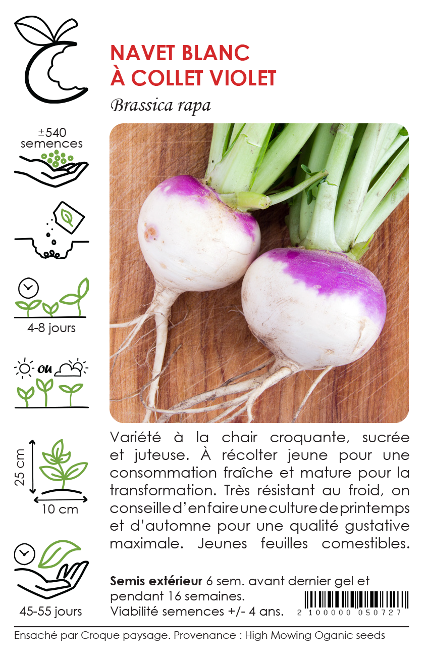 Sachet Croque Paysage,semences Navet blanc à collet violet biologiques,légume racine annuel pour potager,semenciers québécois,laurentides,val-david